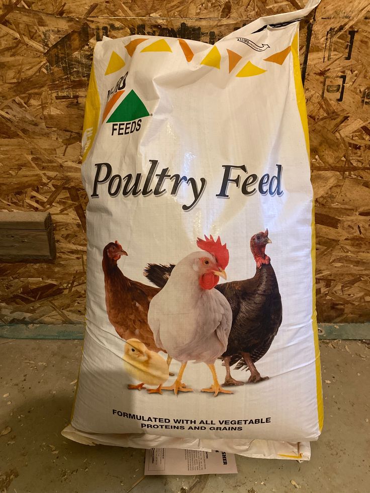 Chicken Feed