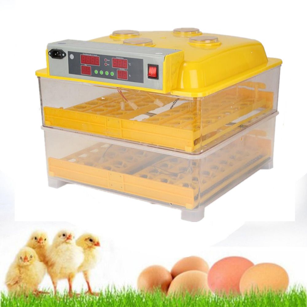 Egg Incubator